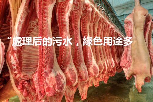 “處理后的污水，綠色用途多，環(huán)保生活新篇章！”